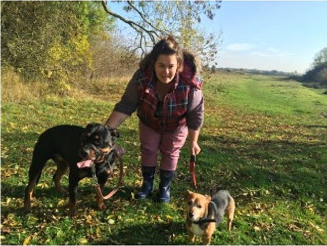 Sarahs Pet Care Services