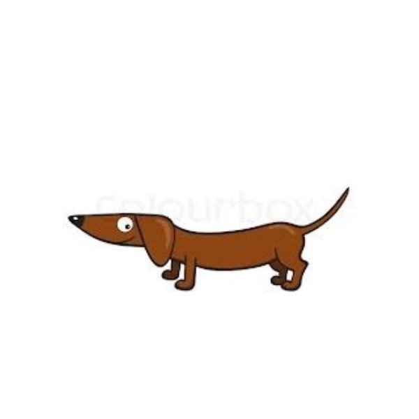 Walkies with Frisby of Cottingham