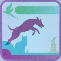 Katie’s Canines and Pals Farnborough Hampshire Logo 