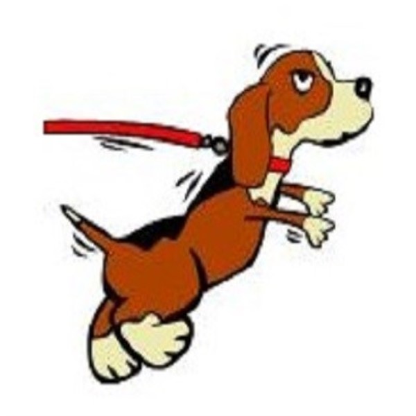 Dog Training Elgin Moray Dog Training Elgin Moray