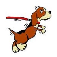 Wagin 'n' Walkin Elgin Moray Logo 