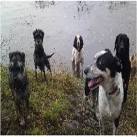 A Wright Paw Froward Carnforth Lancashire Logo 