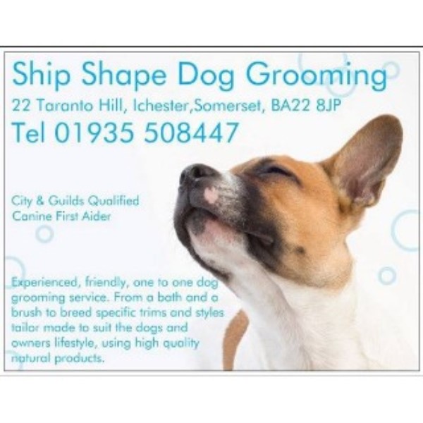 Ship Shape Dog Grooming