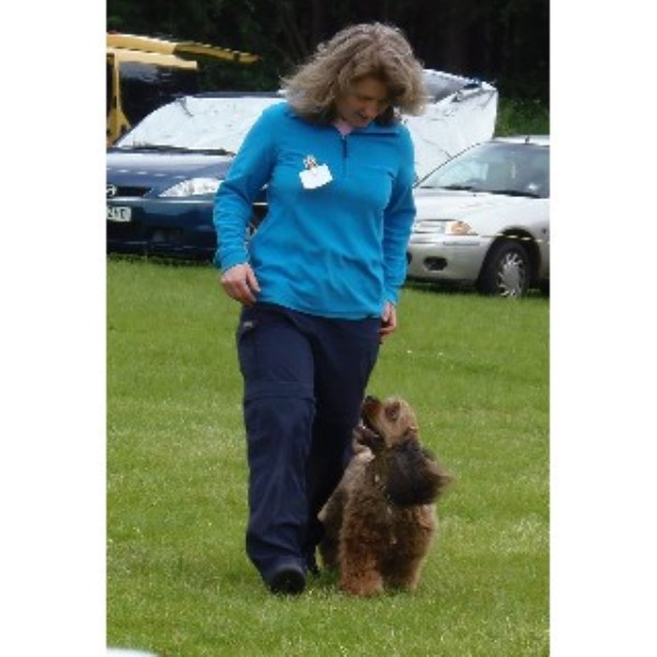 Wagging Tails Dog Training (East Anglia)