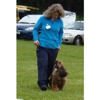 Wagging Tails Dog Training (East Anglia) Blo` Norton, Diss Norfolk Logo 