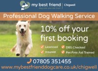 My Best Friend Dog Care Chigwell Essex Logo 
