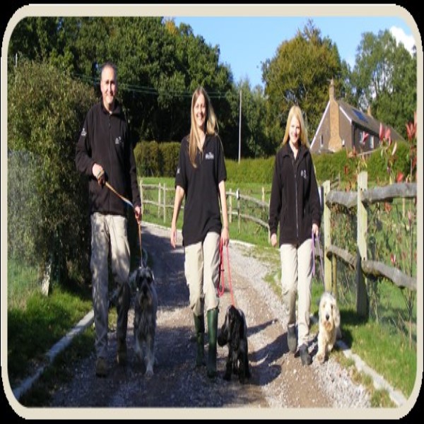 Hammerpond Kennels And Cattery