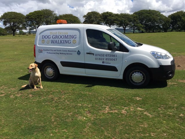 West Devon Dog Grooming Walking Pet House Sitting