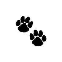 Paws 'n' Claws Welshpool Powys Logo 
