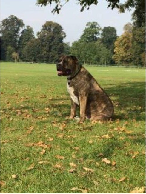 STRICTLY "Real" Girls and Guns Pic Thread NO MODELS - Page 198 Doggy Dayz 2011 Thurrock, Essex RM15