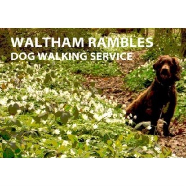 Waltham Rambles Registered Dog Walker