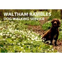 Waltham Rambles Registered Dog Walker Waltham, Grimsby Lincolnshire Logo 