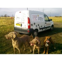 puppy steps dog walking services Consett Durham Logo 