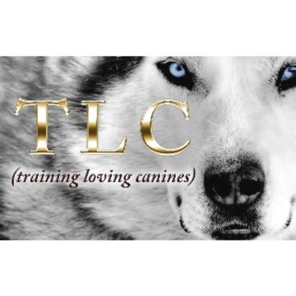 TLC - training loving canines