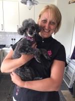 Woofleys Dog Grooming Service Holmes Chapel Cheshire Logo 