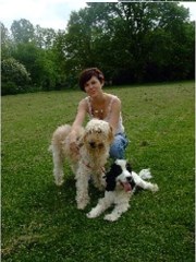 All 4 Animals Romford Greater London Logo 