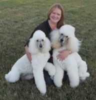 Aristoclips Warwick Warwickshire Logo 