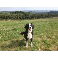 The Barkley Biggleswade Bedfordshire Logo 