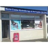 Scoobie Doo's  Hemel Hempstead Hertfordshire Logo 