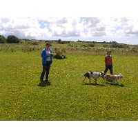 Cornish K9 Cruisers Reduth Cornwall Logo 