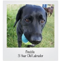 Take The Lead Ripon North Yorkshire Logo 