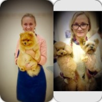 Winslow dog grooming 'Royal Chic' Winslow Buckinghamshire Logo 