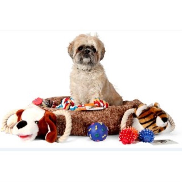 Paws Away Dog Boarding Agency