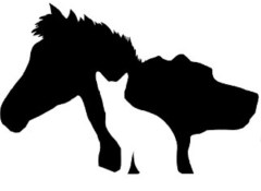 Animal Behaviour & Training South Molton Devon Logo 