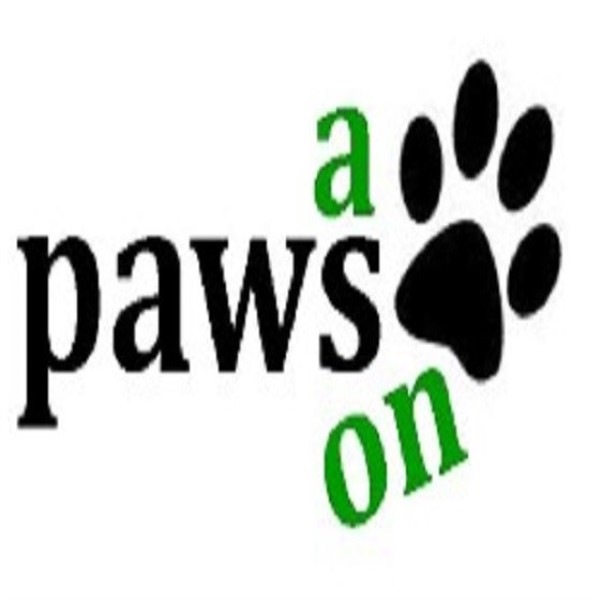 A Paws On Dog Grooming