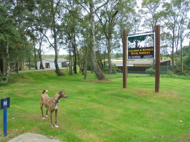 Brumley Brae Kennels & Catlodge