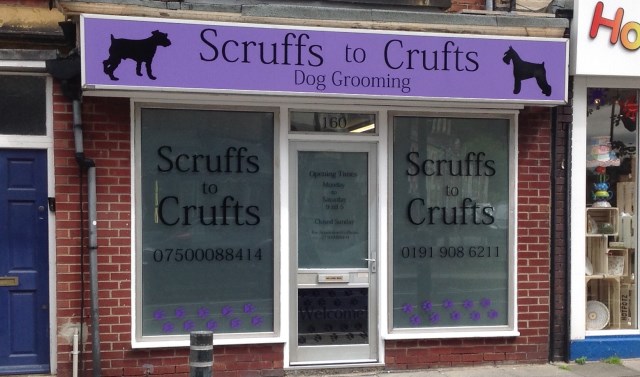 Scruffs to Crufts