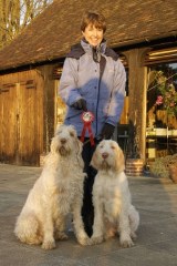 Home Animal Care Stevenage Hertfordshire Logo 