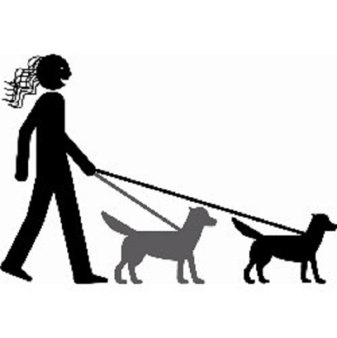 Dog Grooming Taunton Uk Dog Grooming Taunton Uk