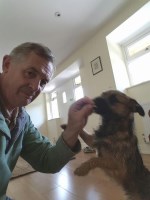 Lolas Friends Stourbridge Worcestershire Logo 