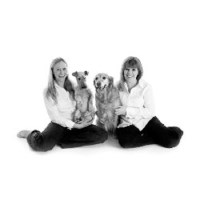 Citidogs Creche Edinburgh Edinburgh Logo 