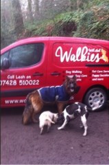 Walkies With Leah Dog Home Boarding and Pet Boarding Bridgwater Somerset Logo 