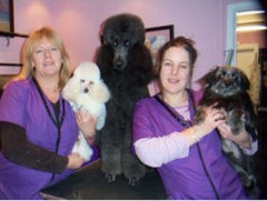 The Lady & The Tramp Grooming Salon & Spa Gloucester Gloucestershire Logo 