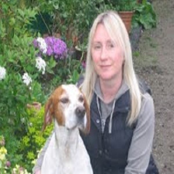 Dog Walking/pet Sitting/pet Taxi