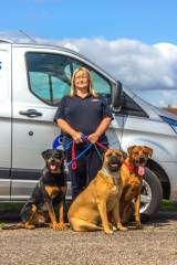 Canine Behaviour & Training Cardiff Cardiff Logo 