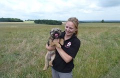 We Love Pets (Basingstoke) Bssingstoke Hampshire Logo 