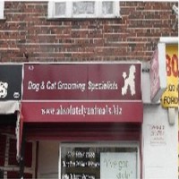 Absolutely Animals Lewisham Greater London Logo 