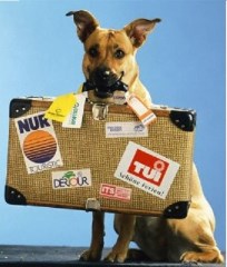 Garforth Dog Boarding Garforth, Leeds West Yorkshire Logo 