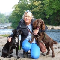 Happy Hounds Matfield Matfield Kent Logo 