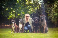 Jo Sault Dog Behaviourist Cropston Leicestershire Logo 