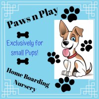 Paws N Play Home Boarding Nursery Isle Of Sheppey Kent Logo 