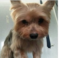 Frinton Groom Room Kirby Cross Essex Logo 