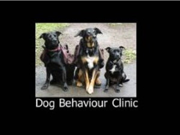 Dog Behaviour Clinic