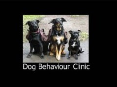 Dog Behaviour Clinic March, Cambridgeshire Logo 