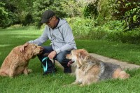 Pets Plus One Kirton Lindsey Lincolnshire Logo 