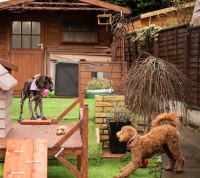 Thedogfatherworcester Worcester Worcestershire Logo 